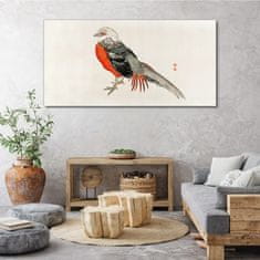 COLORAY.SK Obraz Canvas Moderné zvieracie vták 140x70 cm