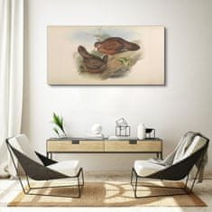 COLORAY.SK Obraz Canvas Vtáky béžová zvieratá 120x60 cm