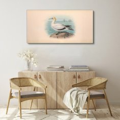 COLORAY.SK Obraz Canvas Vtáky zvieratá kreslenie 120x60 cm
