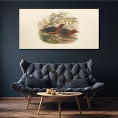 COLORAY.SK Obraz Canvas zvieratá vtákov 140x70 cm