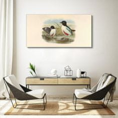 COLORAY.SK Obraz Canvas Vtáky divoké zvieratá 120x60 cm