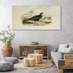 COLORAY.SK Obraz Canvas Vtáky divoké zvieratá 140x70 cm