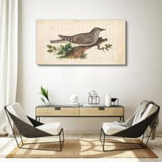 COLORAY.SK Obraz Canvas Ptačírací kreslenie 120x60 cm