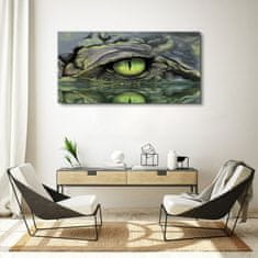 COLORAY.SK Obraz canvas Zvieracie krokodílej očné voda 120x60 cm