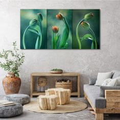 COLORAY.SK Obraz na plátne Kvety rastlín tulipány 140x70 cm