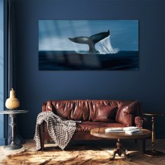 COLORAY.SK Skleneny obraz Veľryba zvierat mora 120x60 cm