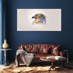 COLORAY.SK Skleneny obraz Zvieracie vták eagle 120x60 cm