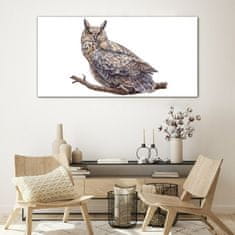 COLORAY.SK Skleneny obraz Maľovanie zvieracie vták sova 120x60 cm