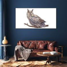 COLORAY.SK Skleneny obraz Maľovanie zvieracie vták sova 120x60 cm