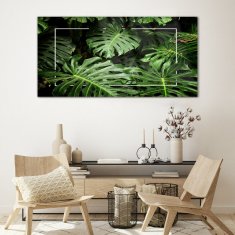 COLORAY.SK Skleneny obraz Listy květinovské rastliny 120x60 cm