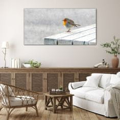 COLORAY.SK Skleneny obraz Abstraktné zvieracie vták sneh 140x70 cm