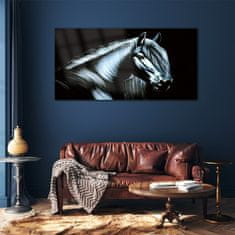 COLORAY.SK Skleneny obraz Abstraktné zvieracie kone 120x60 cm