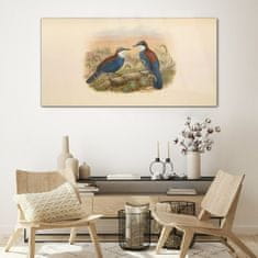 COLORAY.SK Skleneny obraz Vtáky zvieratá kreslenie 120x60 cm