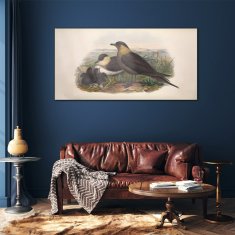 COLORAY.SK Skleneny obraz Zvieratá vtákov 120x60 cm