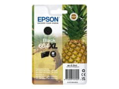 Epson Singlepack Black 604XL Ink