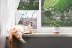 COLORAY.SK Roleta na okno Vápno vo vode Žaluzija za propuščanje svetlobe 100x180 cm