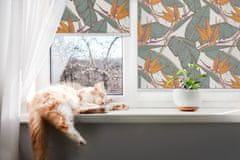 COLORAY.SK Roleta na okno Zelené listy Žaluzija za propuščanje svetlobe 70x140 cm
