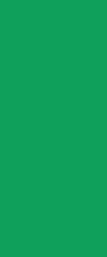 COLORAY.SK Roleta Zelená Žaluzija za temnitev (s podlogo) 100x240 cm