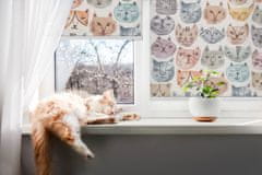 COLORAY.SK Roleta na dvere Farebné tváre mačiek Žaluzija za propuščanje svetlobe 100x240 cm