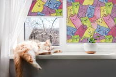 COLORAY.SK Roleta na balkon Farebné mačky Žaluzija za propuščanje svetlobe 90x240 cm