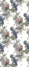 COLORAY.SK Roleta na okna Papagáje na kvetoch Žaluzija za propuščanje svetlobe 80x180 cm
