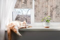 COLORAY.SK Roleta na okna Listy Žaluzija za propuščanje svetlobe 100x180 cm