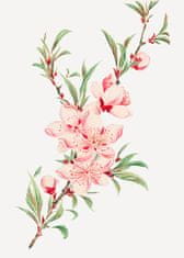 COLORAY.SK Roleta na okno Ružová kvetina Žaluzija za temnitev (s podlogo) 100x140 cm