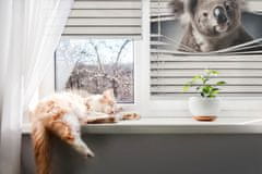COLORAY.SK Roleta na okno Koala Žaluzija za temnitev (s podlogo) 120x140 cm