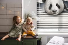 COLORAY.SK Roleta Panda Žaluzija za propuščanje svetlobe 130x180 cm