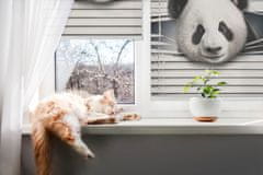 COLORAY.SK Roleta Panda Žaluzija za propuščanje svetlobe 130x180 cm