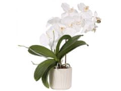 sarcia.eu Krémový keramický kvetináč, keramický kvetináč 11,5x11,5x10 cm 