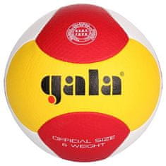 Smash PRO beachvolejbalová lopta veľkosť lopty č. 5