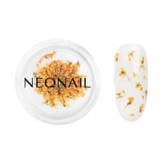 Neonail NEONAIL OZDOBY KVIETKY ORANGE 03