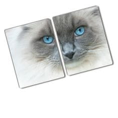 Wallmuralia.sk Kuchynská doska zo skla Mačka modré oči 2x40x52 cm