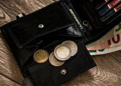 Peterson Pánska kožená peňaženka v orientácii na šírku