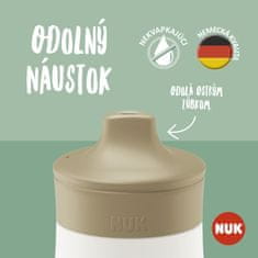 Nuk Fľaša Mini-Me Sip 300 ml (9+ m.) ružová