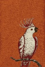 Kusový koberec Kakadu orange 160x230