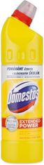 Domestos Čistiaci prostriedok na WC - citrus, 750 ml