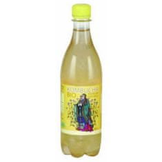 Kombucha harmanček STEVIKOM 500ml