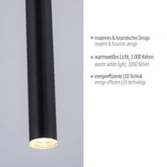 PAUL NEUHAUS PAUL NEUHAUS LED závesné svietidlo čierna 1 ramenné stmievateľné teplá biela subtílny dizajn 3000K PN 2111-18