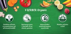 GERBER Organic detský príkrm mrkva a paradajky s morčacím mäsom 190 g