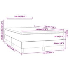 Petromila vidaXL Boxspring posteľ s matracom sivohnedá 120x190 cm látka