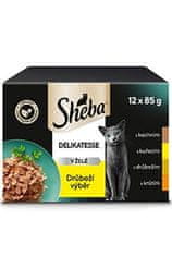 Sheba vrecko Hydinový výber v želé 12x85g