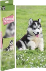 Grafix Diamantové maľovanie Husky 40x50cm