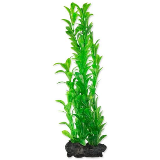 Tetra Dekorácia Rastlina Hygrophila L 30cm