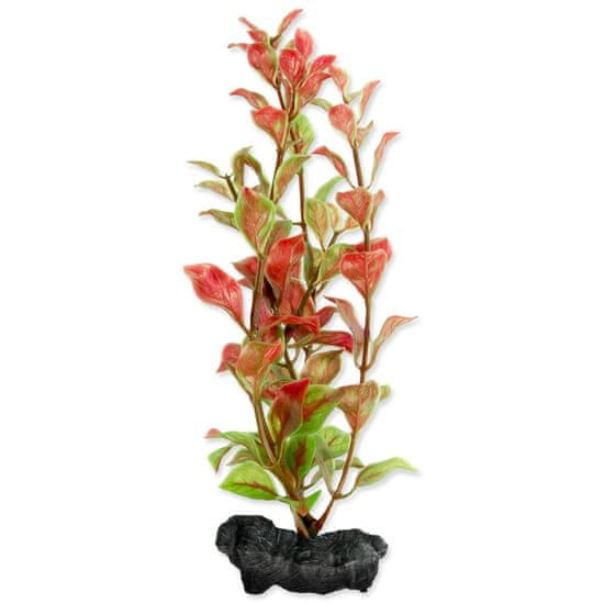 Tetra Dekorácia Rastlina Red Ludwigia S 15cm
