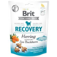 Brit Pochúťka Care Dog Functional Snack Recovery Sleď 150g