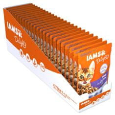 IAMS Kapsička Delights Kitten kura v omáčke 85g