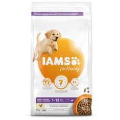 IAMS Krmivo Dog Puppy Large Chicken 3kg