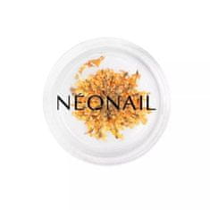 Neonail Neonail ozdoby kvietky Orange 03